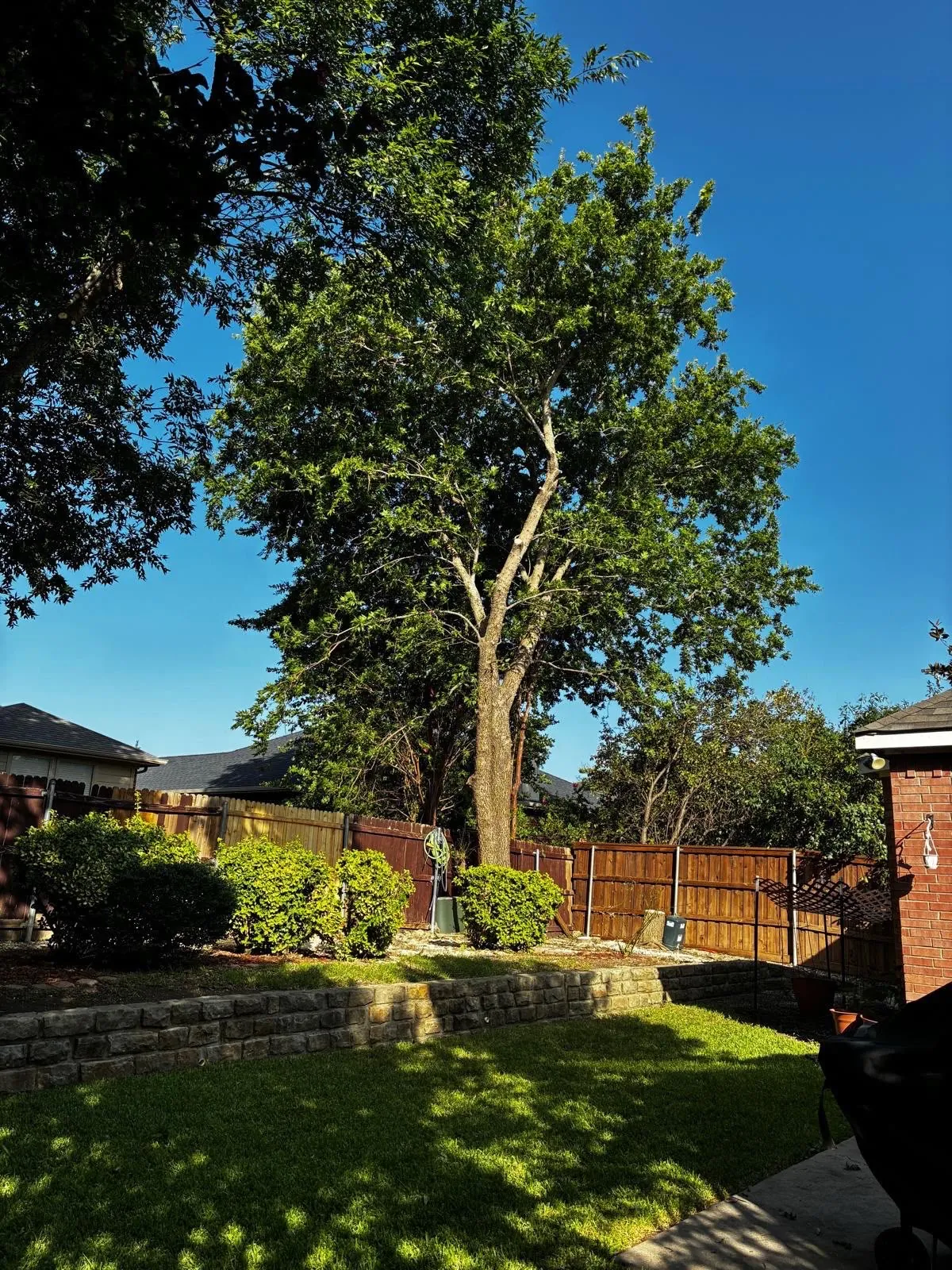 Tree service equipment working in the Dallas Fort Worth area