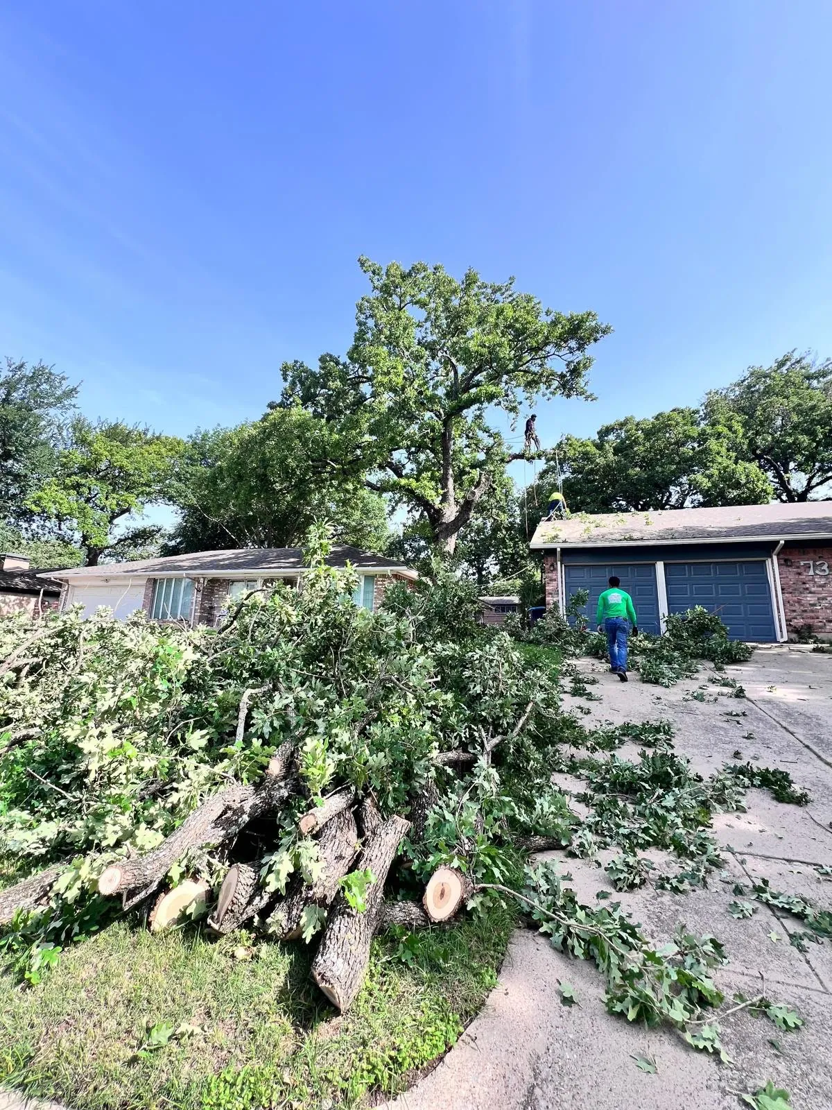 Safe Residential & Commercial Tree Removal