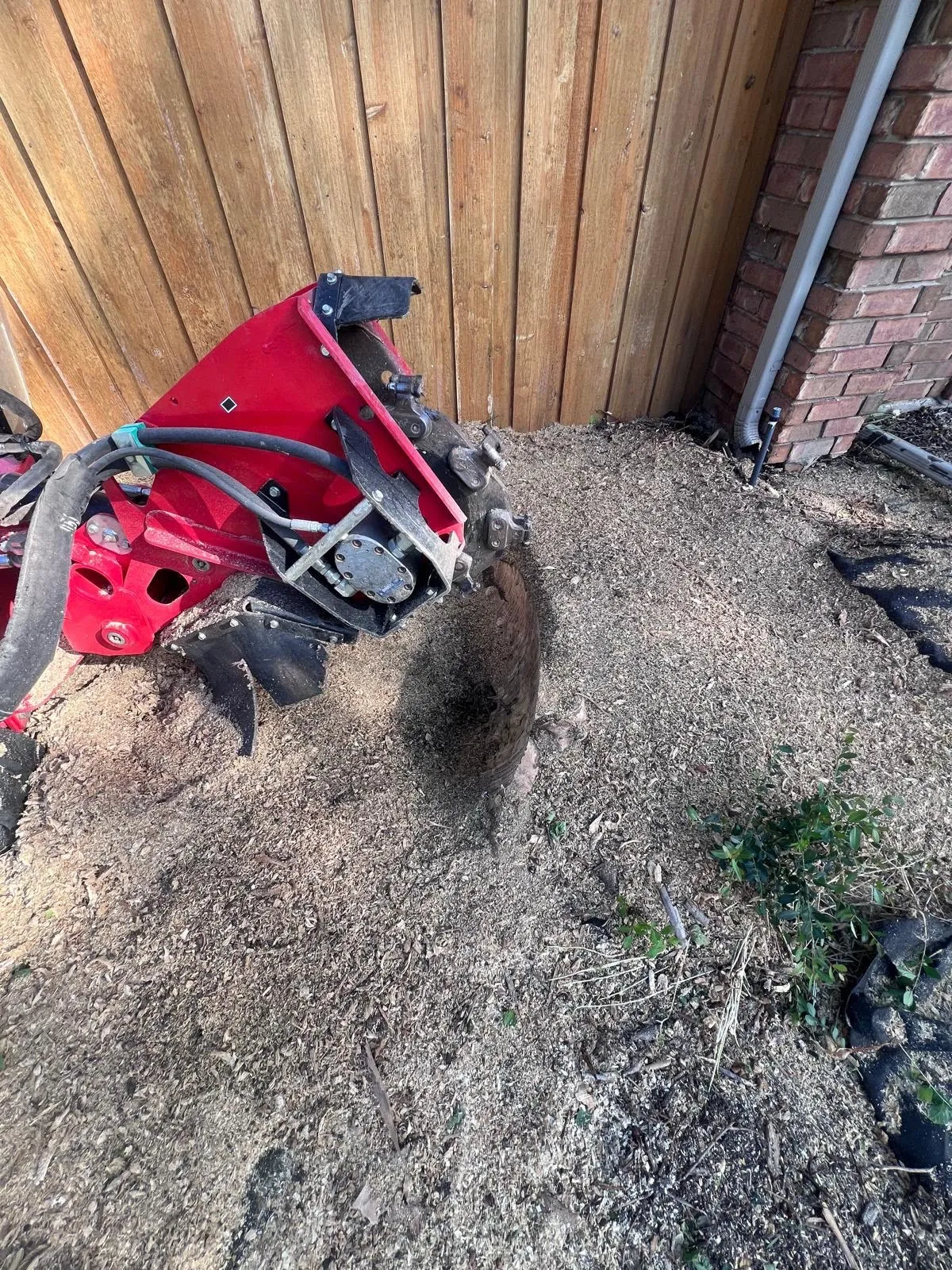 Stump Grinding & Removal Services