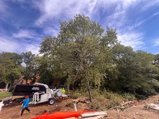 Lot Clearing — work photo 6