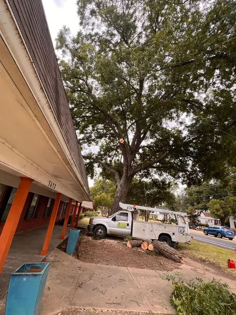Storm Damage Cleanup — work photo 4