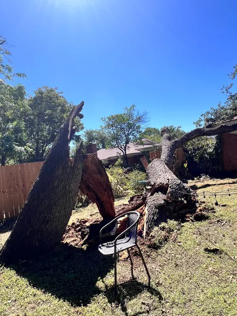 Storm Damage Cleanup — work photo 8