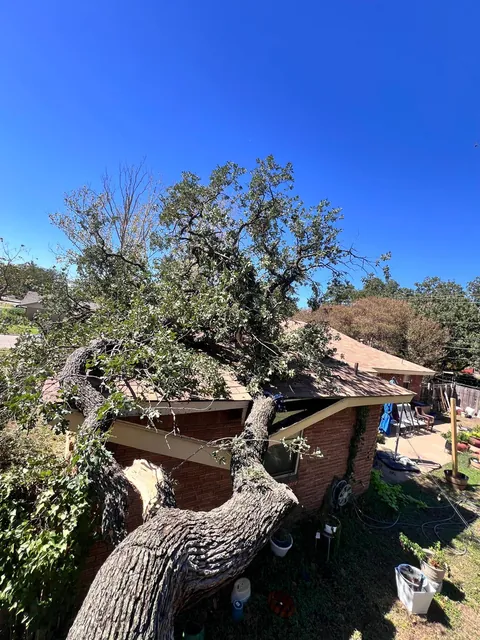 Storm Damage Cleanup — work photo 9