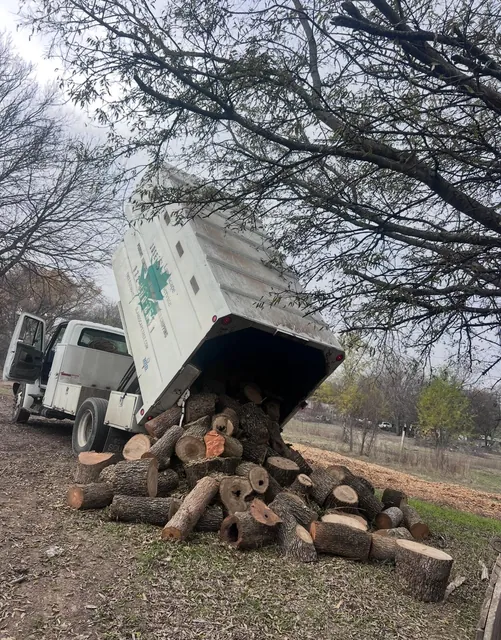 Retiro de árboles — foto del trabajo 22
