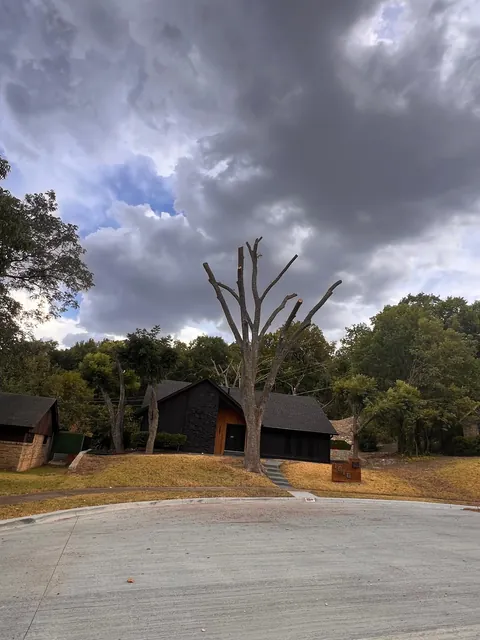 Tree Topping & Height Assessment — work photo 2